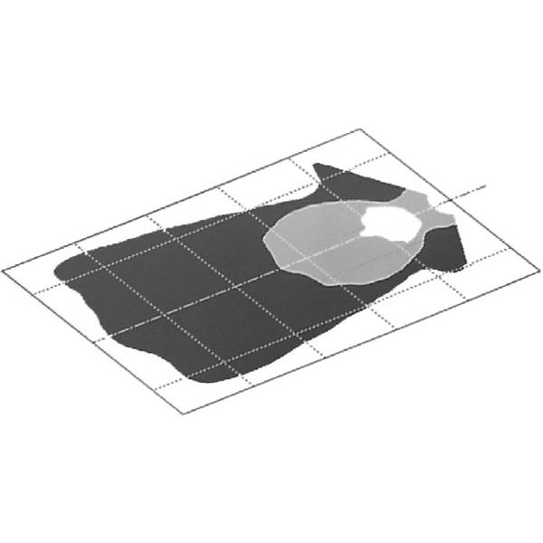 Zdjęcie 2: Reflektor roboczy H3