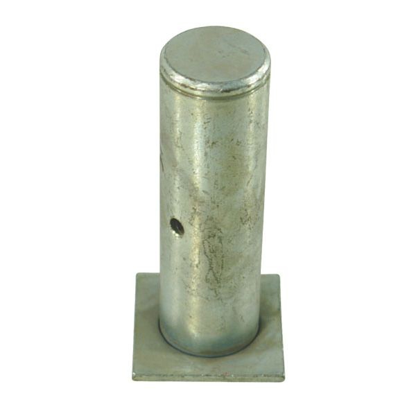 Zdjęcie 1: Sworzeń
