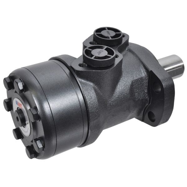 Zdjęcie 2: Silnik orbitralny SMR-160-4BDGP 4L/32