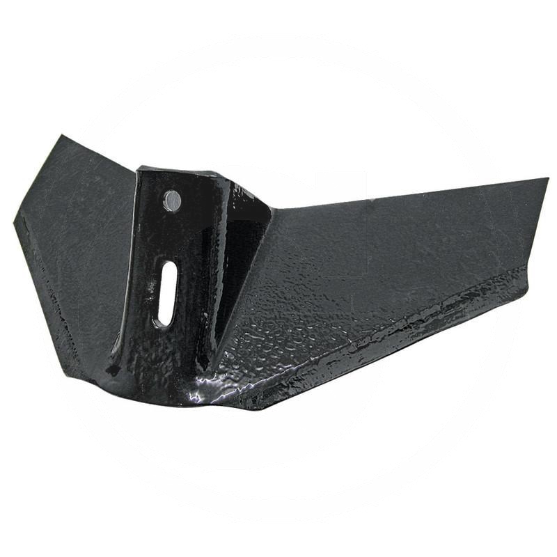 Zdjęcie 1: Redlica skrzydełkowa