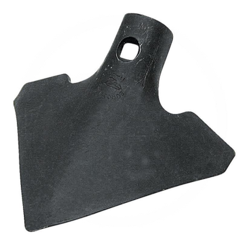 Zdjęcie 1: Redlica szeroka