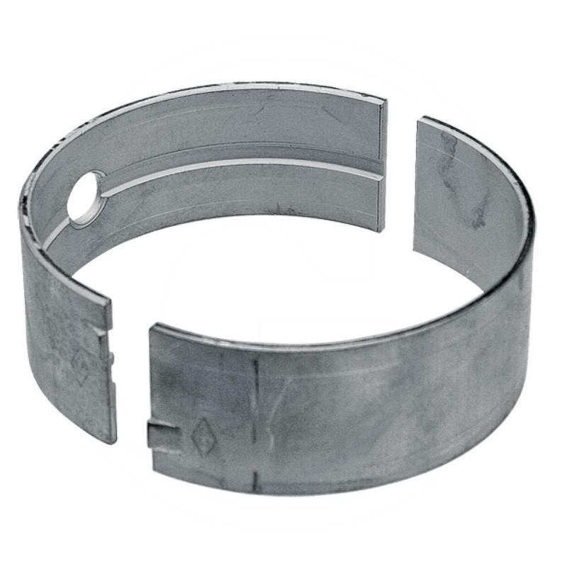 Zdjęcie 1: Panewka główna