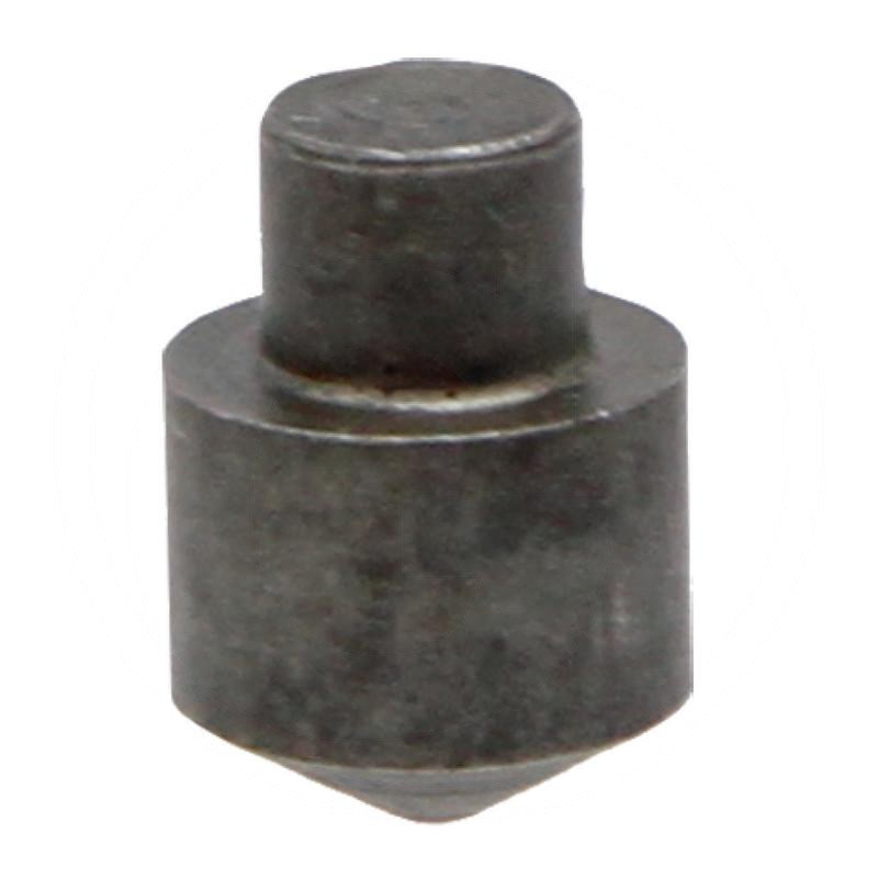 Zdjęcie 1:  Krzywka