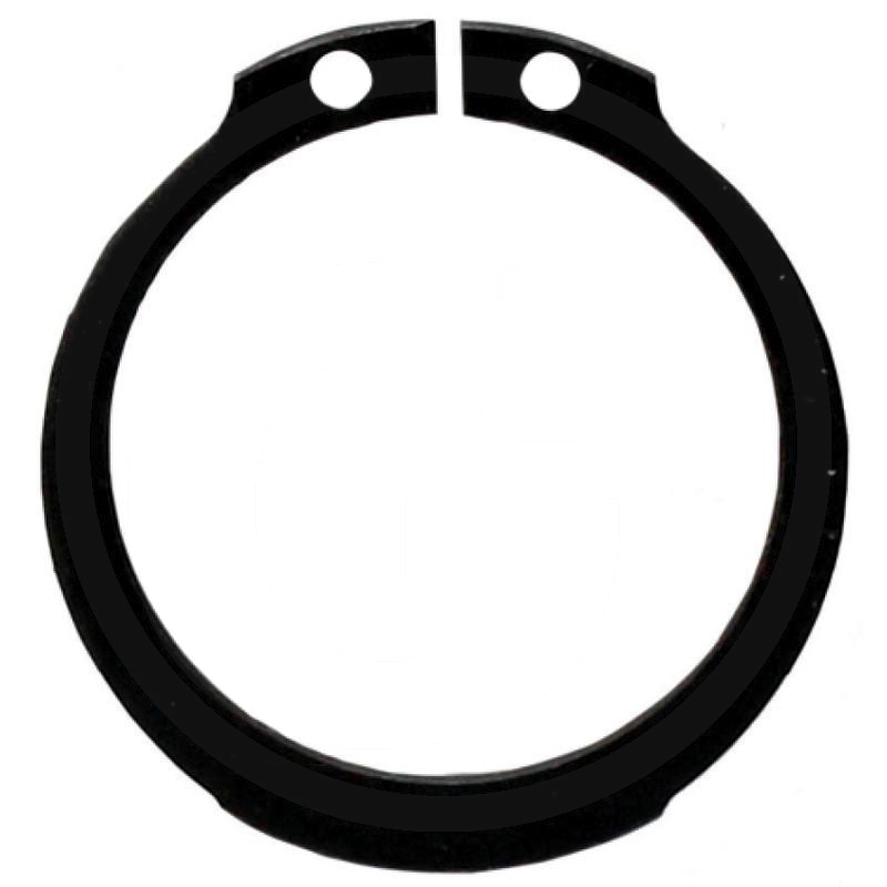 Zdjęcie 1: Pierścień osadczy