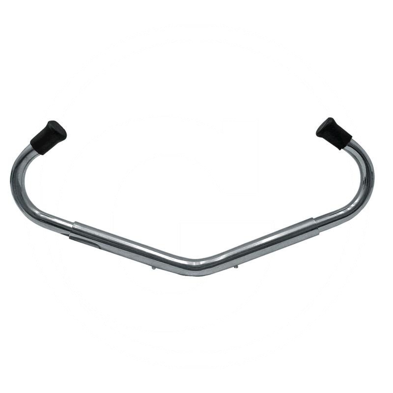 Zdjęcie 1:  Laska poskromu