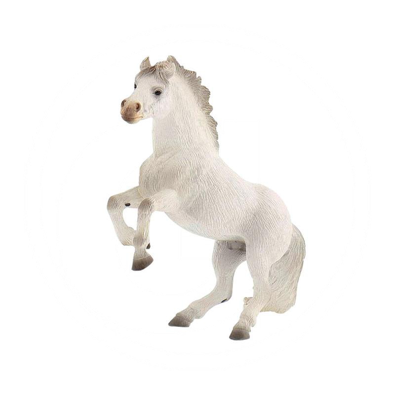 Zdjęcie 1: Koń lipicański - ogier