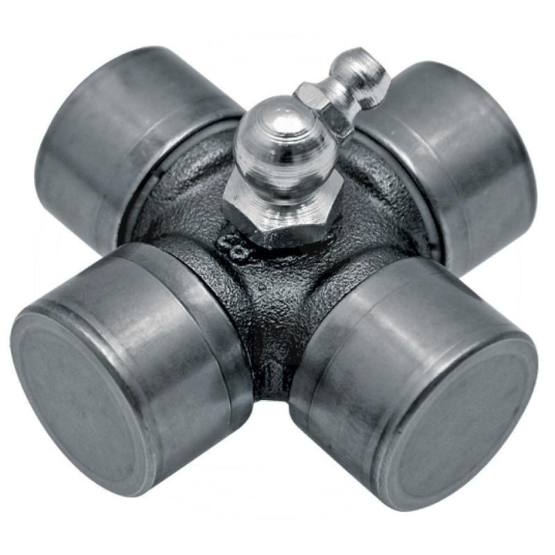 Zdjęcie 1:  Krzyżak