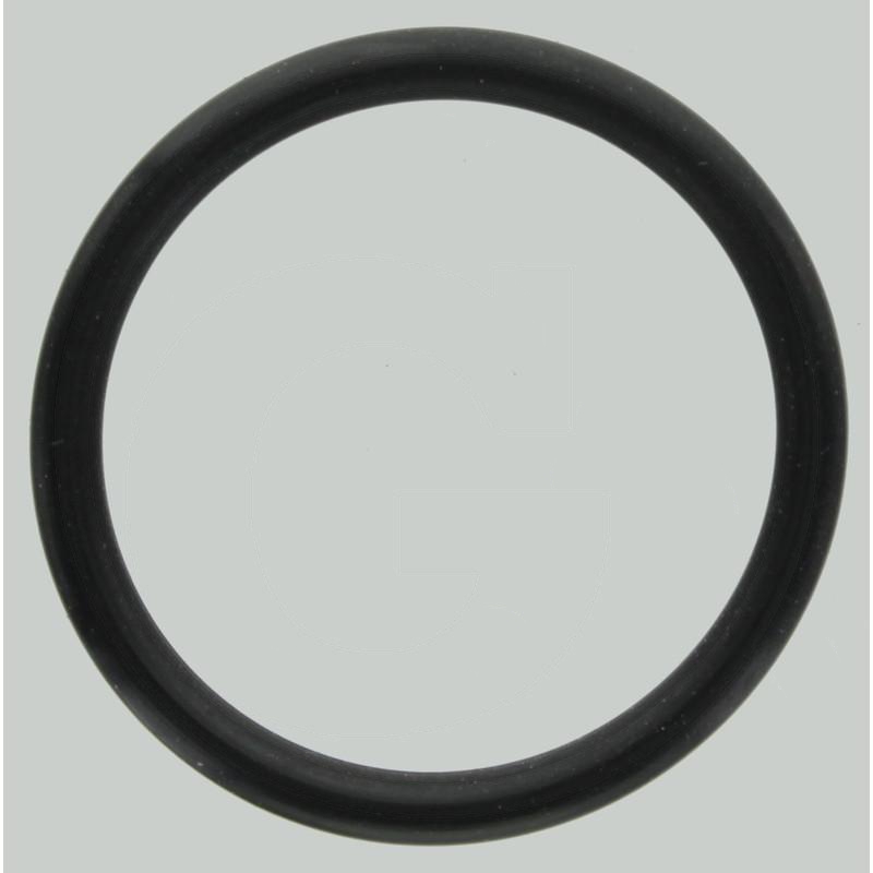Zdjęcie 1: Comet Oring