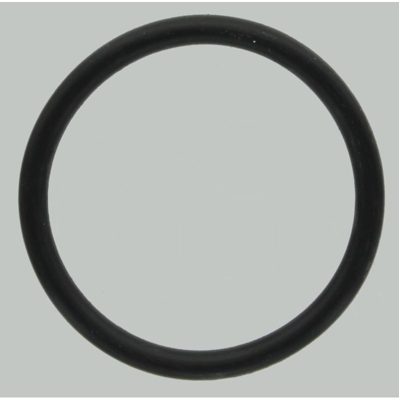 Zdjęcie 1: Comet Oring