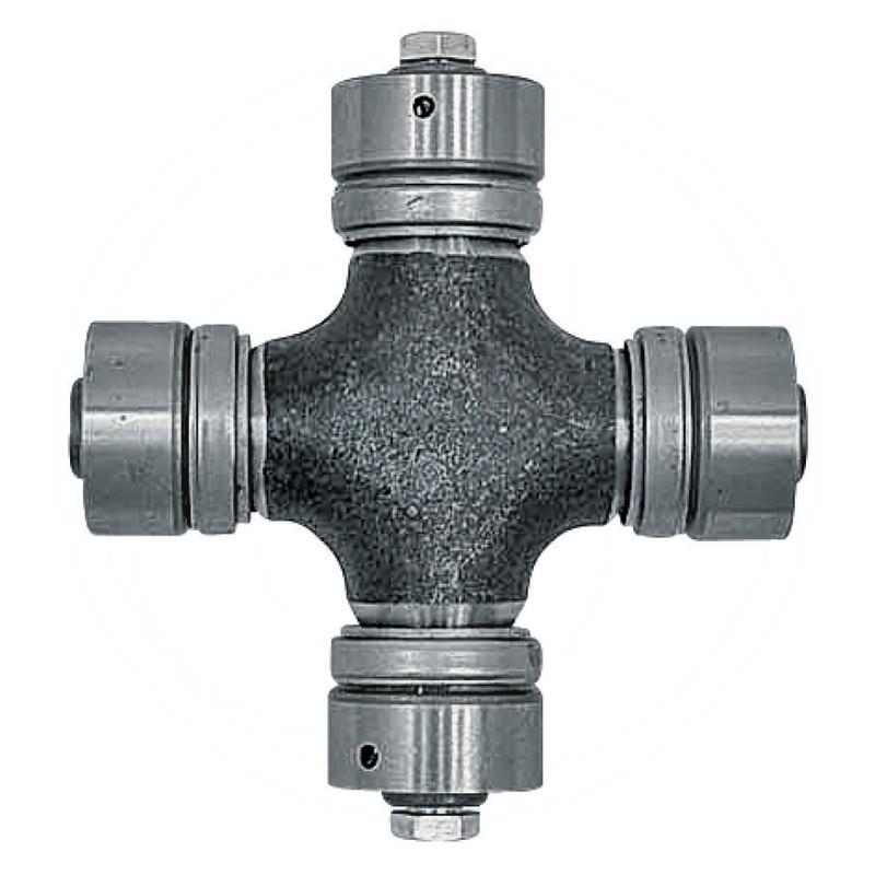 Zdjęcie 1:  Krzyżak kpl.