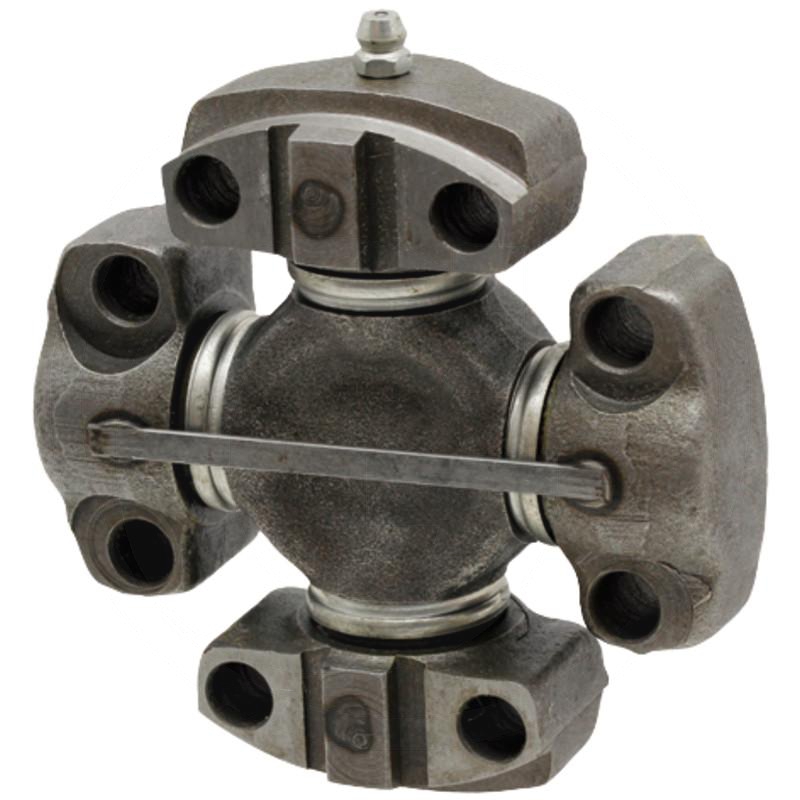 Zdjęcie 1:  Krzyżak