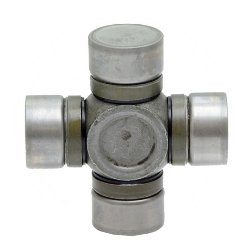 Zdjęcie 1:  Krzyżak