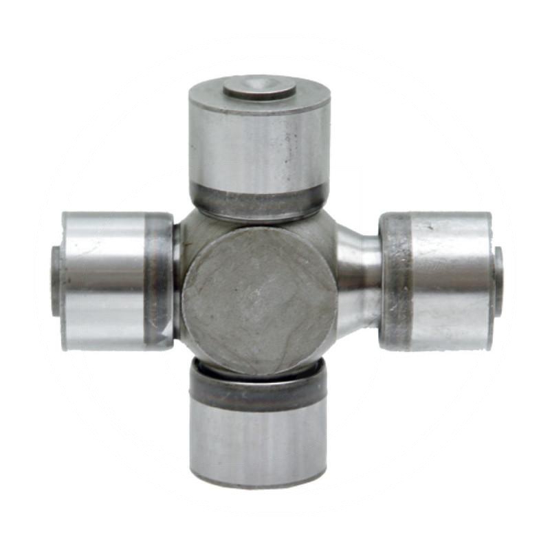 Zdjęcie 1:  Krzyżak