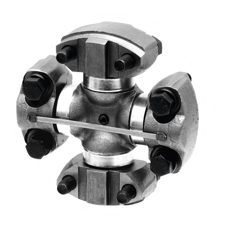 Zdjęcie 1:  Krzyżak