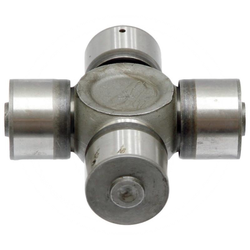 Zdjęcie 1:  Krzyżak