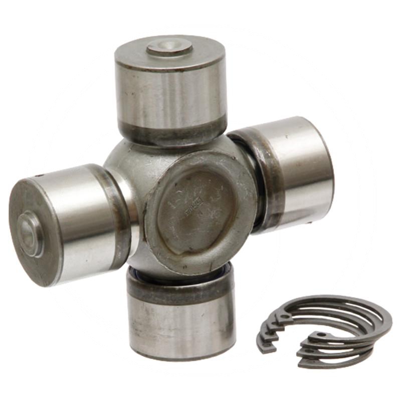 Zdjęcie 1:  Krzyżak