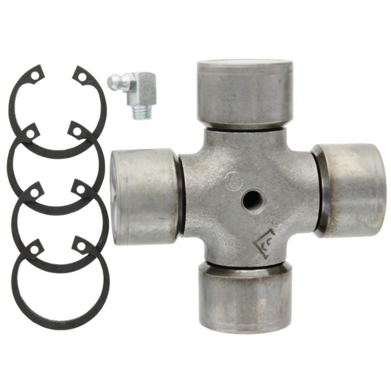 Zdjęcie 1:  Krzyżak