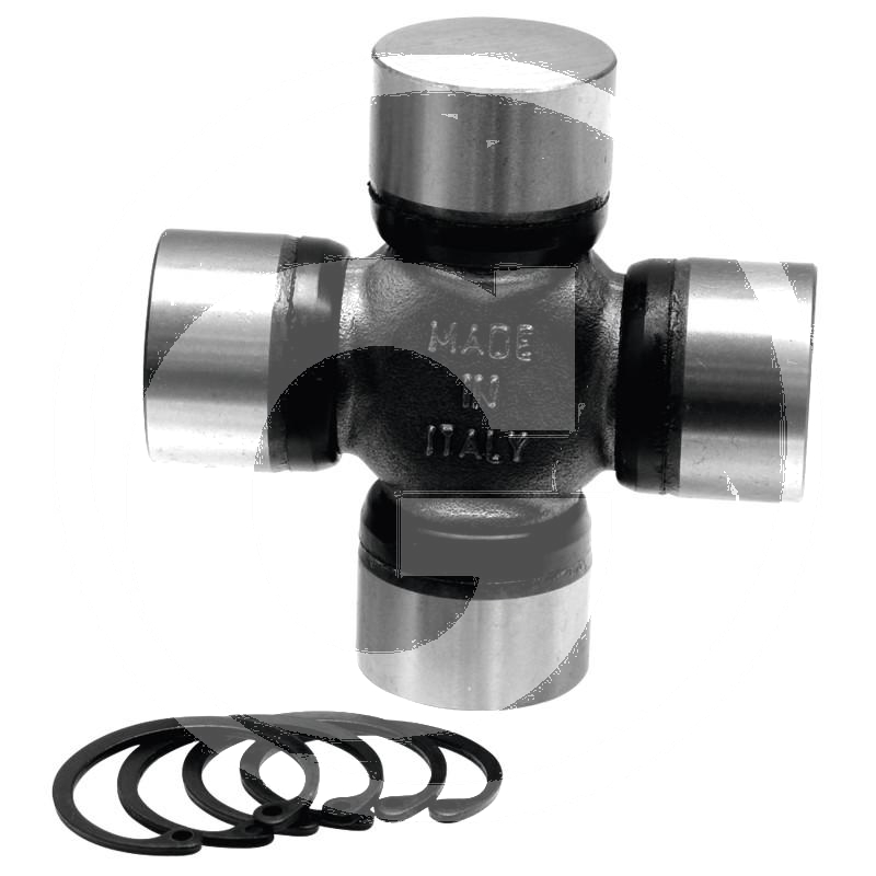 Zdjęcie 1:  Krzyżak