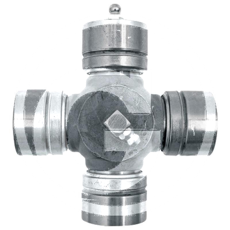 Zdjęcie 1:  Krzyżak kpl.