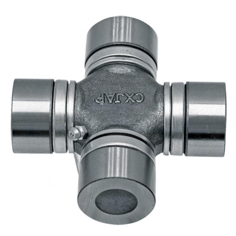 Zdjęcie 1:  Krzyżak