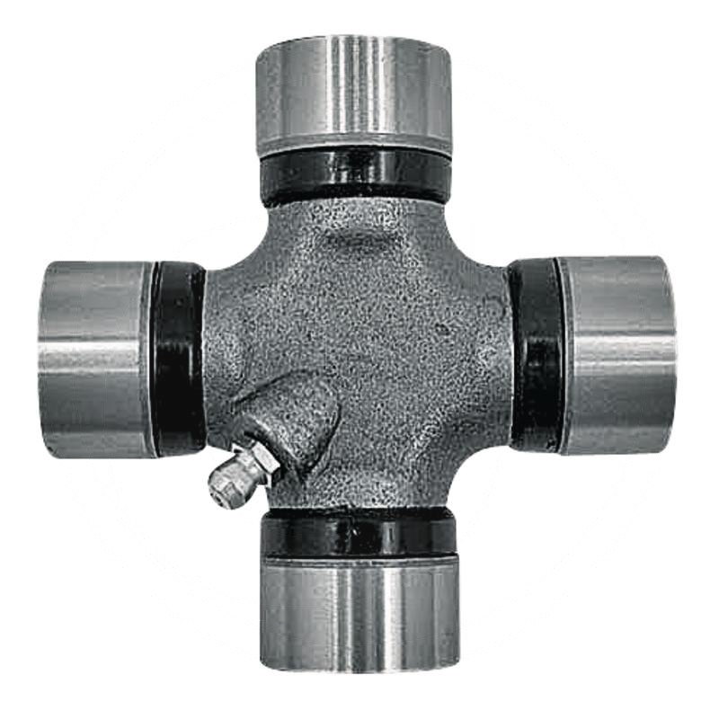 Zdjęcie 1:  Krzyżak kpl.